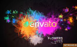 VIDEOHIVE FLOWERS AND DYES INTRO