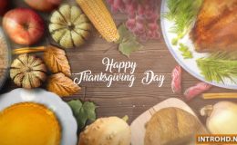 VIDEOHIVE THANKSGIVING SPECIAL PROMO