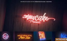 VIDEOHIVE THE NEON SIGN