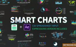 VIDEOHIVE SMART CHARTS CSV INFOGRAPHICS