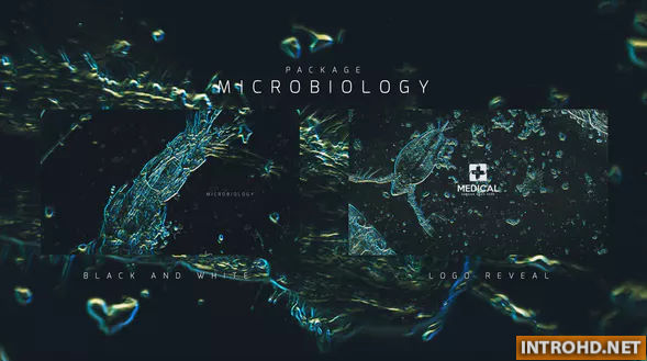 Videohive Microbiology Package 24386328