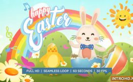 VIDEOHIVE EASTER BUNNY AND CHICKEN DANCE GREETING