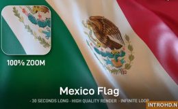 Videohive Mexico Flag 24553666