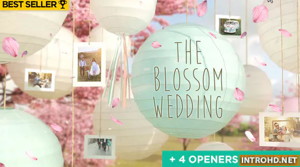 The Blossom Wedding – Photo Gallery Slideshow Videohive