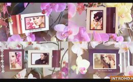 Photo Gallery in Flowers Videohive