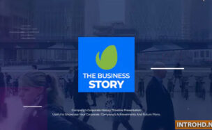 VIDEOHIVE THE BUSINESS STORY