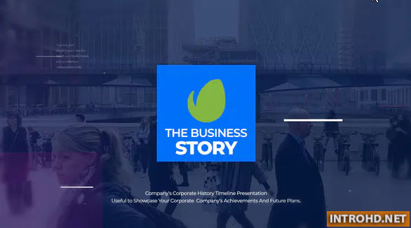 VIDEOHIVE THE BUSINESS STORY