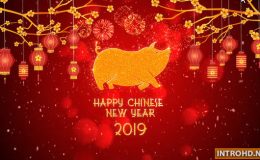 VIDEOHIVE CHINESE NEW YEAR 2019