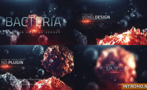The Bacteria Infection Opener Videohive