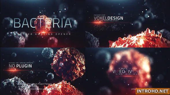 The Bacteria Infection Opener Videohive