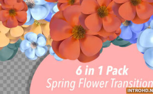 Videohive Spring Flower Transitions