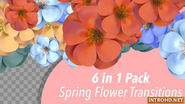 Videohive Spring Flower Transitions