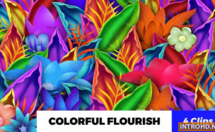 Colorful Flourish Videohive