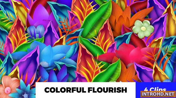 Colorful Flourish Videohive
