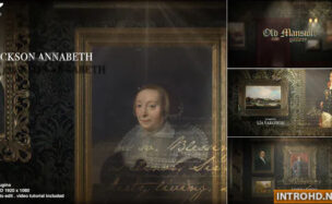 VIDEOHIVE OLD MANSION GALLERY