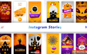 Instagram Stories Videohive