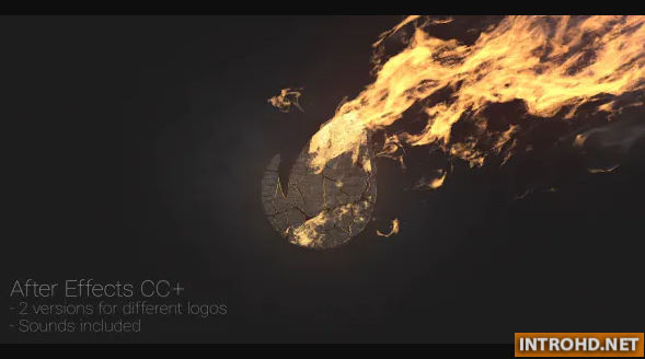 VIDEOHIVE LOGO AT FIRE