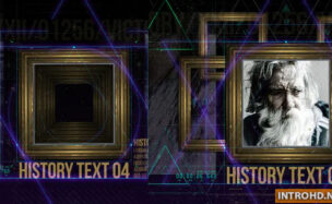 VIDEOHIVE HISTORY IN FRAMES