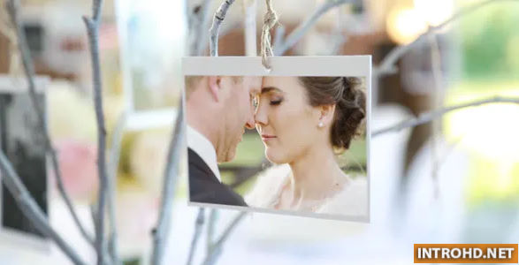 PHOTO GALLERY AT A COUNTRY WEDDING – (VIDEOHIVE)