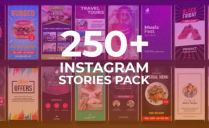Videohive Instagram Stories 23898656