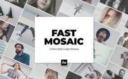 Videohive Video Wall Mosaic Logo Reveal Intro