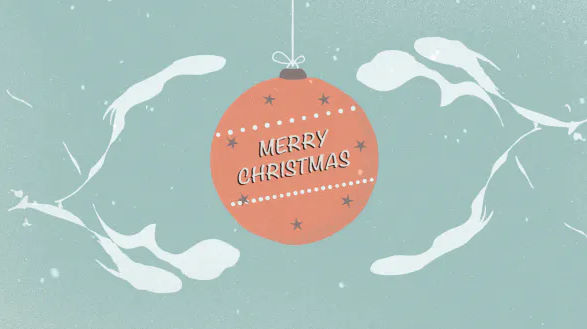 VIDEOHIVE MERRY CHRISTMAS REVEAL