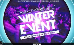 VIDEOHIVE WINTER MUSIC AFTERPARTY