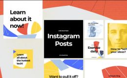VIDEOHIVE INSTAGRAM POSTS - DYNAMIC PUZZLE