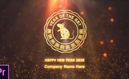 VIDEOHIVE CHINESE NEW YEAR 2020 - PREMIERE PRO 24937070