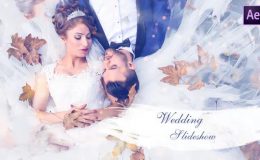 VIDEOHIVE WEDDING SLIDESHOW 25259629