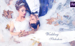 VIDEOHIVE WEDDING SLIDESHOW 25259629