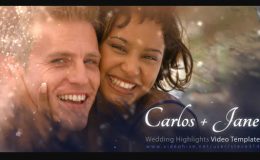 WEDDING HIGHLIGHTS - (VIDEOHIVE)