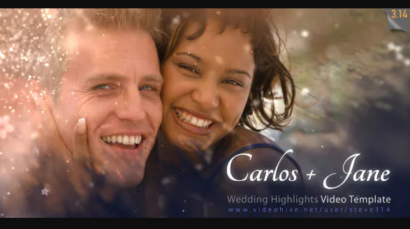WEDDING HIGHLIGHTS – (VIDEOHIVE)