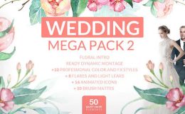 VIDEOHIVE WEDDING MEGA PACK 2