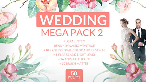 VIDEOHIVE WEDDING MEGA PACK 2