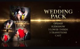 WEDDING PACK 4588232 - (VIDEOHIVE)