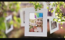 PHOTO GALLERY ON A SUNNY AFTERNOON - (VIDEOHIVE)