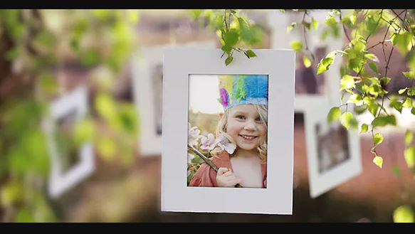 PHOTO GALLERY ON A SUNNY AFTERNOON – (VIDEOHIVE)