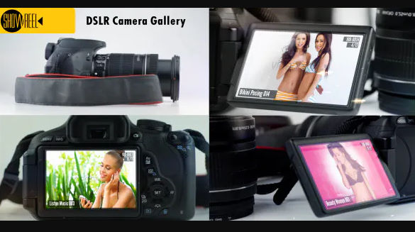 Videohive Photo Gallery on a DSLR Camera