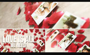 ROSE PETALS HEART – PHOTO GALLERY – (VIDEOHIVE)