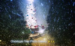 CHRISTMAS TREE PHOTO GALLERY - (VIDEOHIVE)