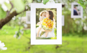 PHOTO GALLERY BLOSSOMS AND BEES – (VIDEOHIVE)