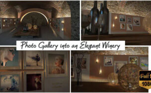 PHOTO GALLERY IN AN ELEGANT WINERY – (VIDEOHIVE)
