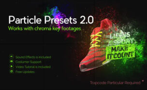 VIDEOHIVE PARTICLE PRESETS