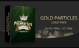 VIDEOHIVE GOLD PARTICLES LOGO PACK