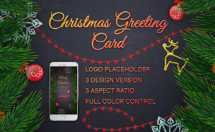 VIDEOHIVE CHRISTMAS INSTAGRAM STORIES AND POSTS