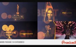VIDEOHIVE AWARDS PACKAGE 7053845