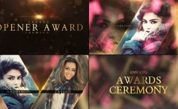 VIDEOHIVE AWARDS SHOW PACKAGING
