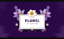 Videohive Floral 8 Opening Footages- Glamour Wedding Titles- Flowers and Shapes- Vintage and Hipster- Romantic