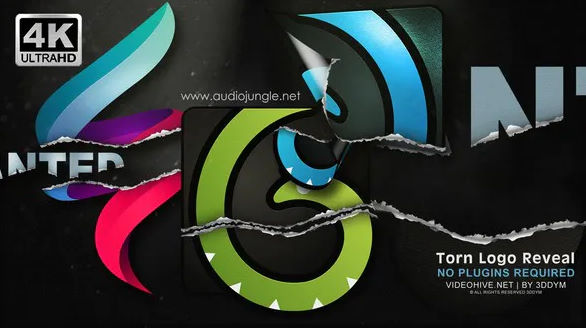 VIDEOHIVE TORN LOGO REVEAL